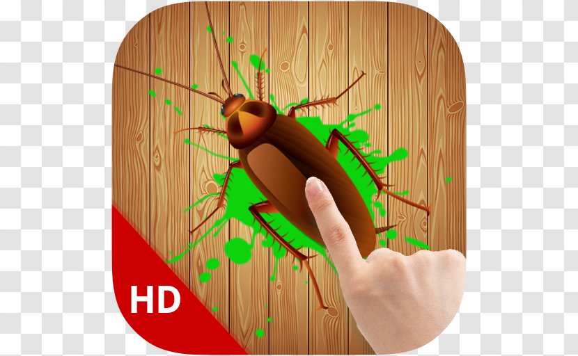 Insect Thumb Wood Stain Transparent PNG