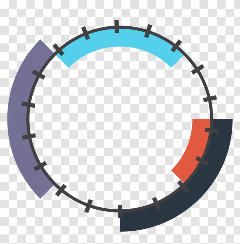 Circle Fraction - Ring - Aliquots Material Transparent PNG