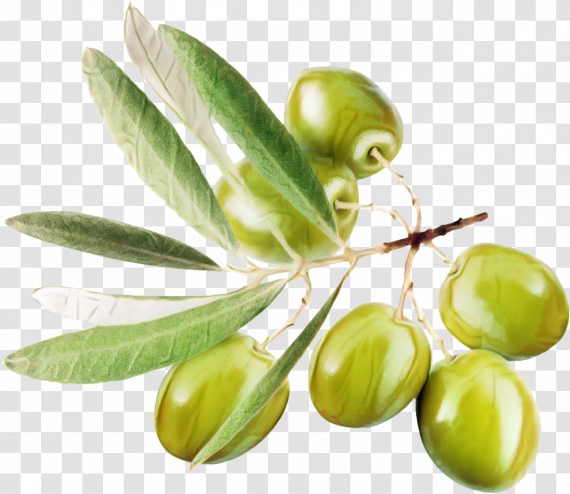 Olive Oil Clip Art Food - Royaltyfree - Branch Transparent PNG