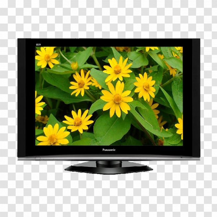 Television Set Panasonic LED-backlit LCD Liquid-crystal Display - Liquidcrystal - TV Transparent PNG