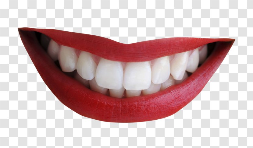 Smile Human Mouth Clip Art Tooth Transparent PNG
