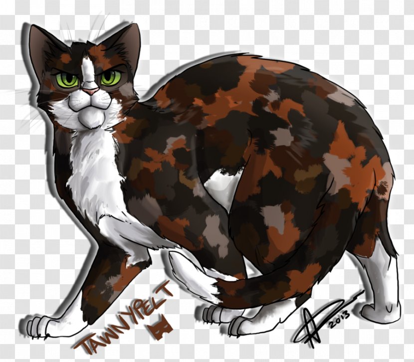 Tawnypelt Warriors DeviantArt Rowanclaw - Kitten - The New Prophecy Transparent PNG