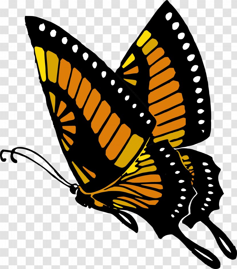 Butterfly Drawing Book Clip Art - Invertebrate Transparent PNG