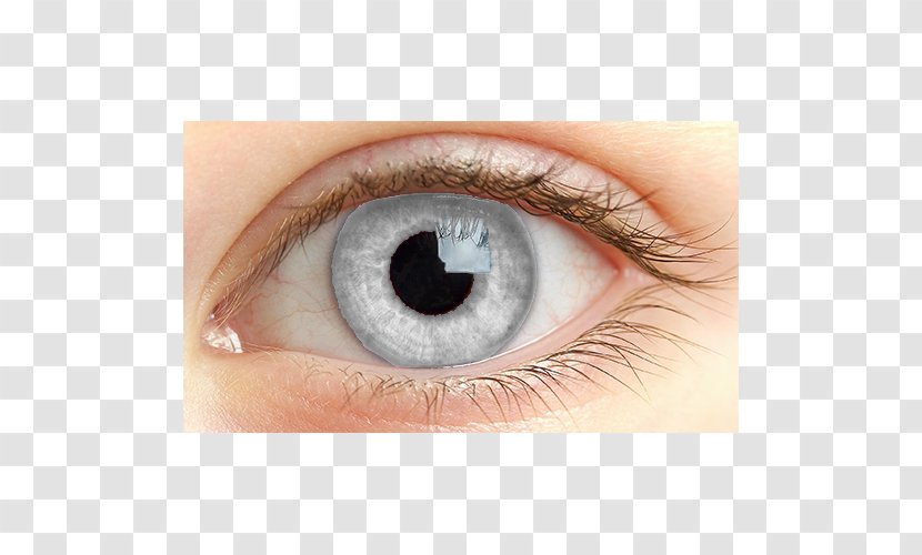 Light Human Eye Iris Retina - Silhouette Transparent PNG