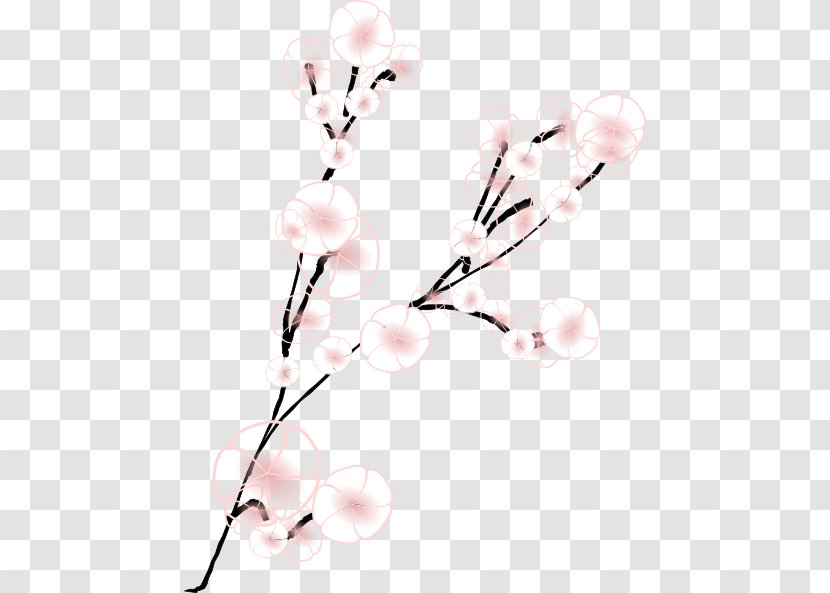 Cherry Blossom Flower Clip Art - Vector Transparent PNG