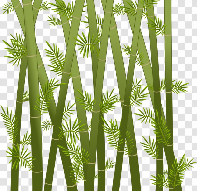 Paper Bamboo Drawing Art Clip - Branch Transparent PNG