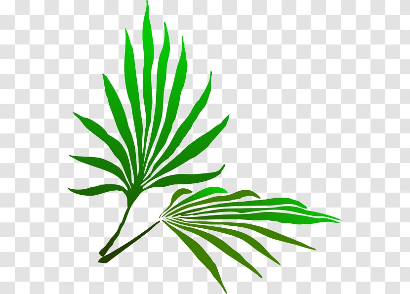 Palm Sunday Branch Easter Clip Art - Cliparts Transparent PNG