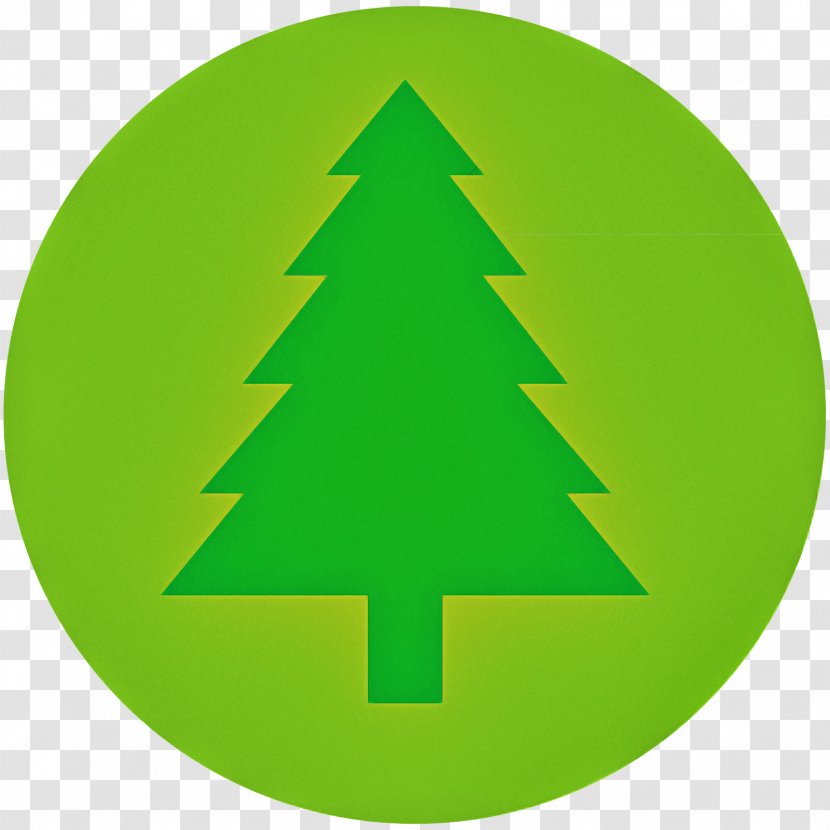 Christmas Tree - Pine Conifer Transparent PNG