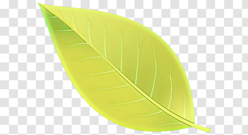 Leaf Yellow Green Plant Transparent PNG