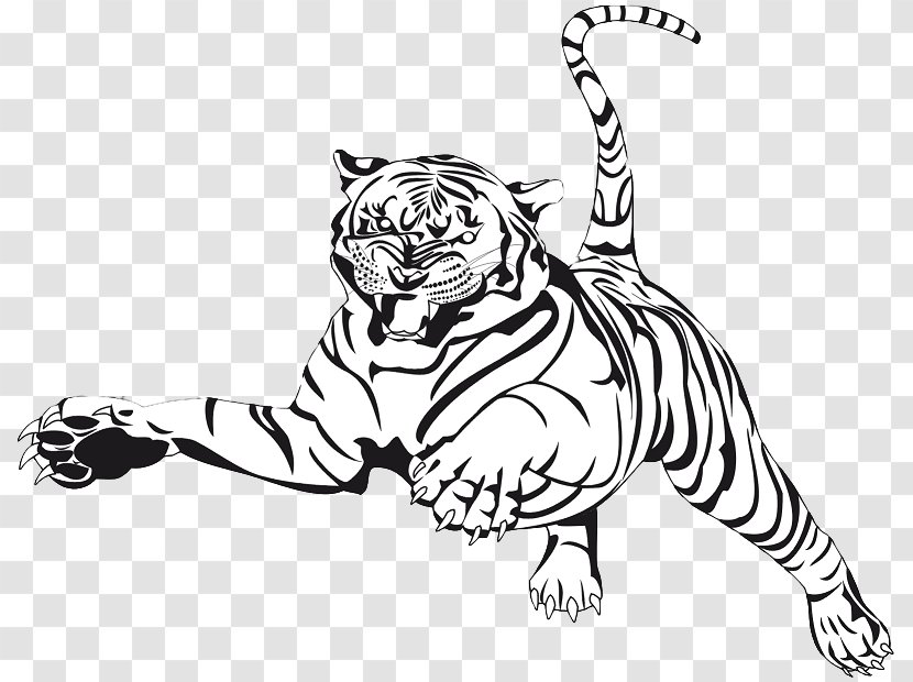 Coloring Book Auburn University Drawing Illustration Tigers - Whiskers - Draw A Tiger Transparent PNG
