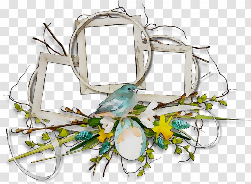 Pet Parakeet - Bird - Plant Transparent PNG