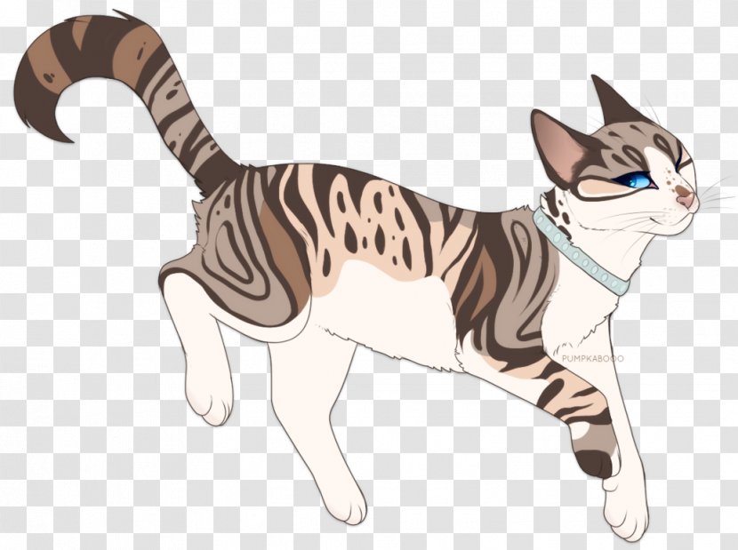 Sokoke American Wirehair Ocicat Malayan Cat California Spangled - Kitten Transparent PNG