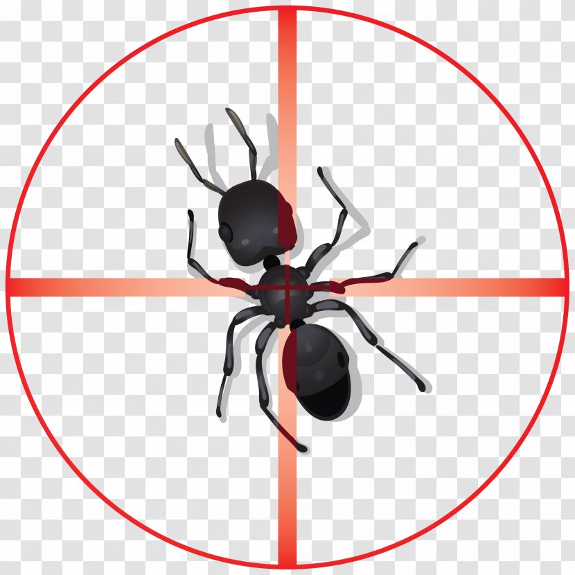 Insecticide Pest Control Ant - Widow Spider - Insect Transparent PNG