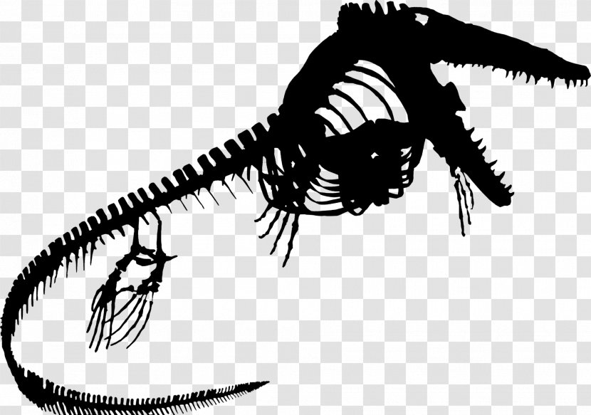 Tyrannosaurus Font Invertebrate - Organism Transparent PNG