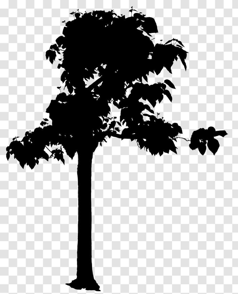 Tree Photography Drawing - Foreground Transparent PNG