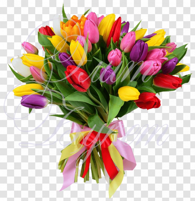 Flower Bouquet Tulip Cut Flowers Gift Transparent PNG