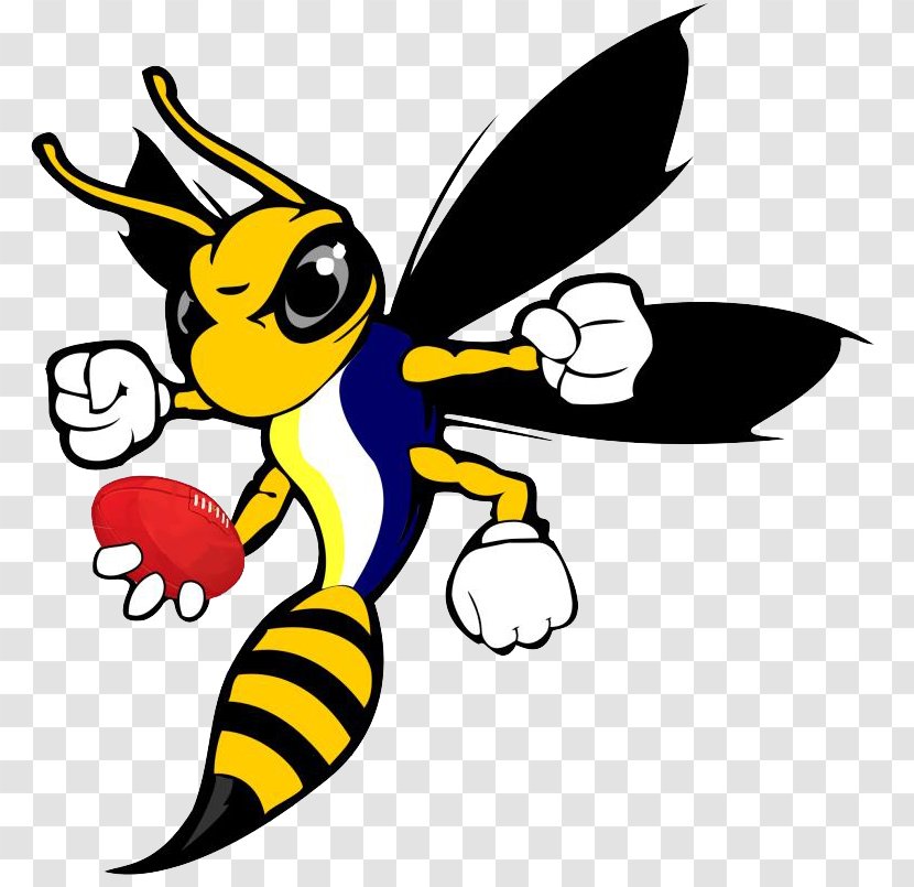 Hornet Bee Wasp Clip Art - Drawing Transparent PNG