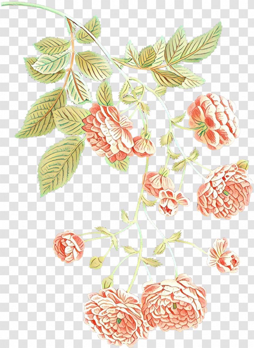 Flowers Background - Branch - Plant Flower Transparent PNG