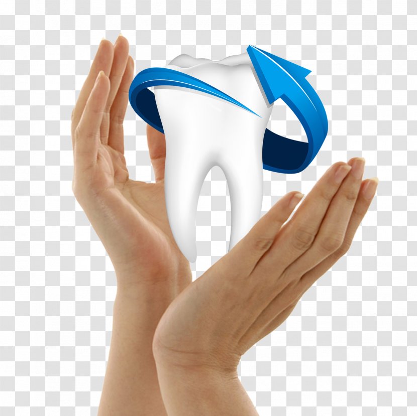Mouthwash Tooth Whitening Dentistry Health Care - Hands Holding Teeth Transparent PNG