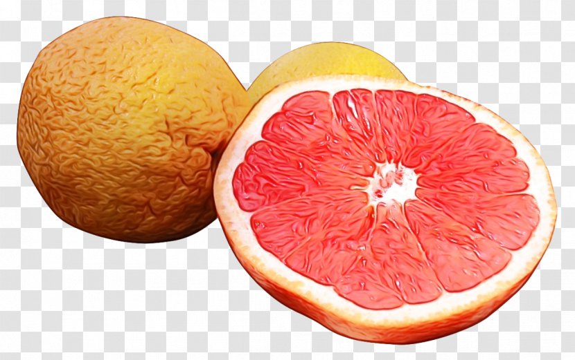 Fruit Cartoon - Grapefruit - Tangerine Accessory Transparent PNG