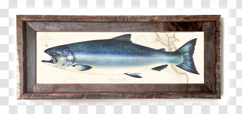 Sardine Fauna - Bony Fish - King Salmon Transparent PNG