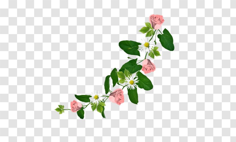 Flower Drawing Image Floral Design - Plant Stem Transparent PNG