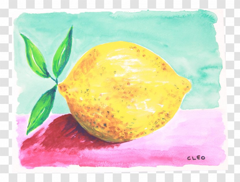 Lemon Still Life Photography Citron - Citrus - Gouache Transparent PNG