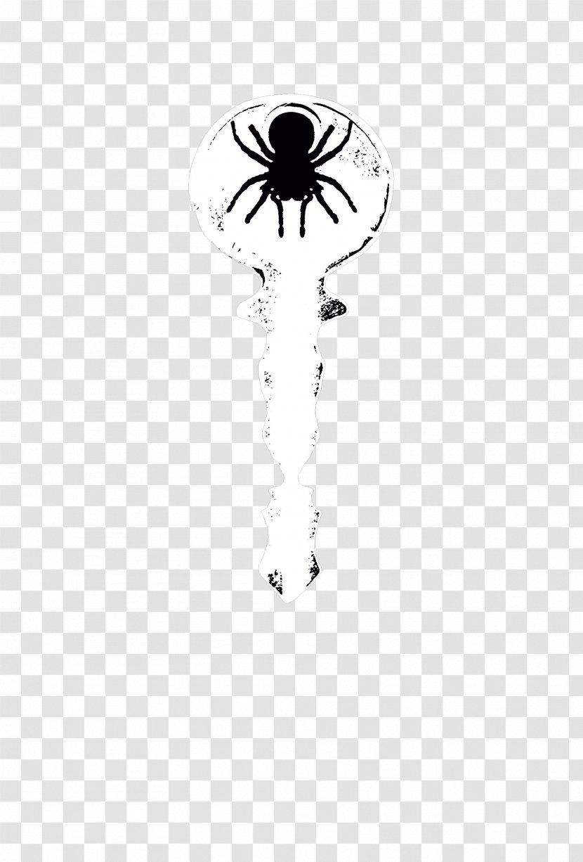 Insect White Pattern - Invertebrate - Scepter Spider Transparent PNG
