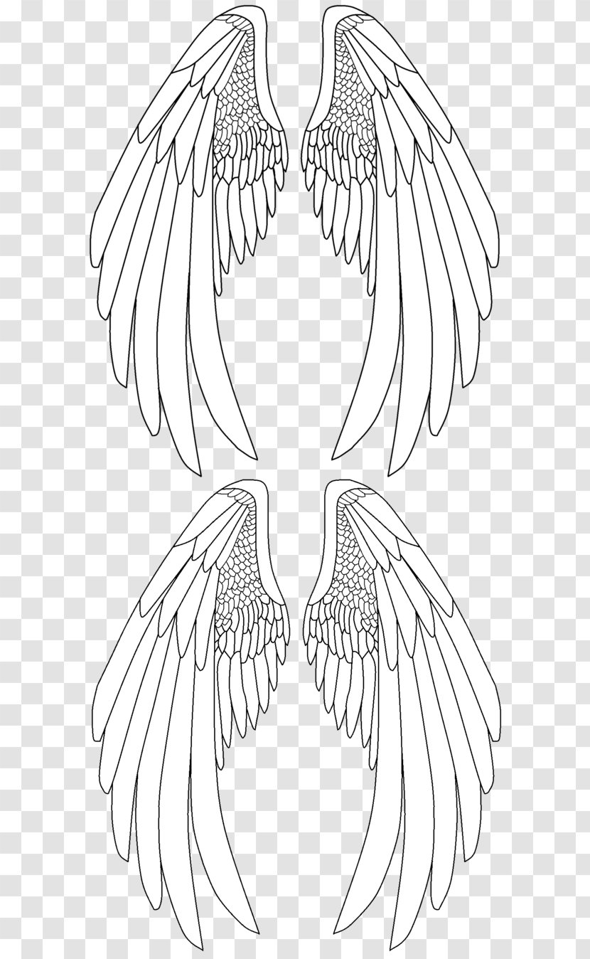 Line Art Drawing Beak - Flower - Ink Wings Transparent PNG