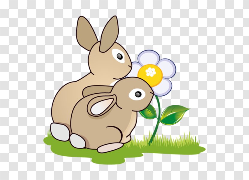 Domestic Rabbit Hare European Easter Bunny Clip Art - Leporids Transparent PNG