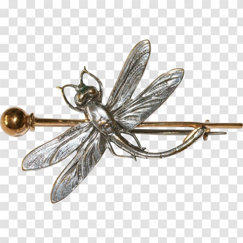 Insect Jewellery Brooch Clothing Accessories Invertebrate - Pest - Dragonfly Transparent PNG