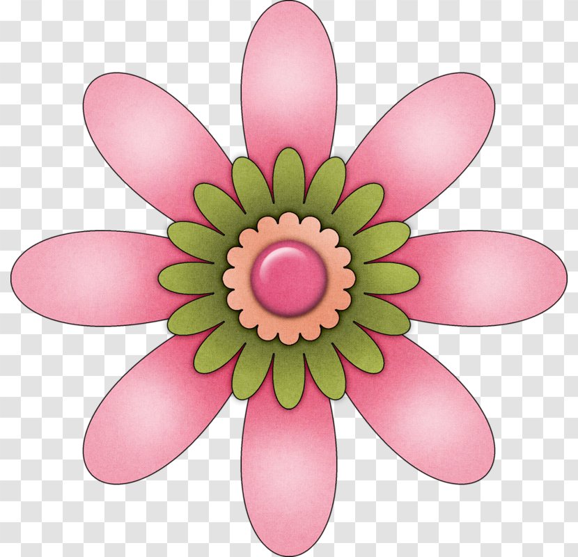 Pink M RTV - Flowering Plant - Flower Transparent PNG