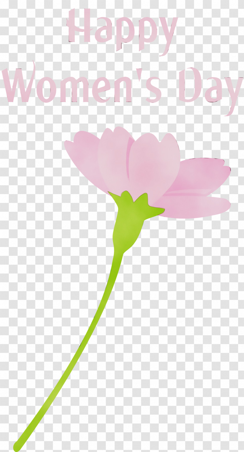 Flower Pink Plant Petal Pedicel Transparent PNG