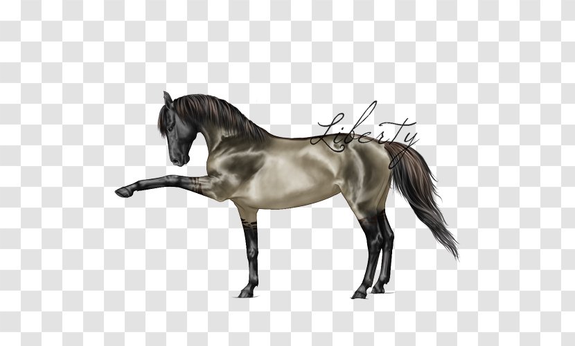 Mane Mustang Stallion Pony Mare - Neck Transparent PNG