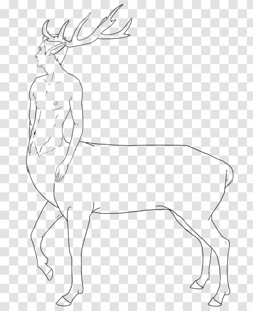 Reindeer Line Art Drawing Horse - Artist Transparent PNG
