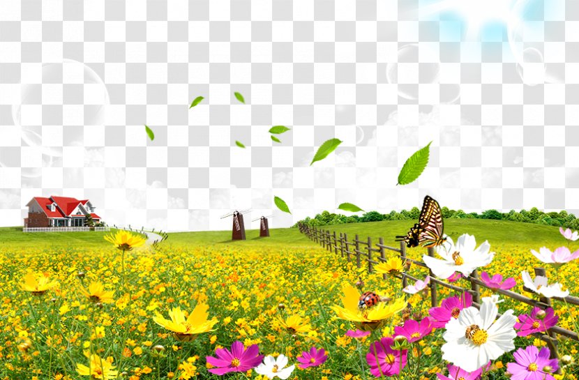 Flower Poster - Grassland - Flowers Transparent PNG