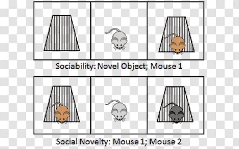 Mouse Social Relation Interaction Mammal - Furniture Transparent PNG
