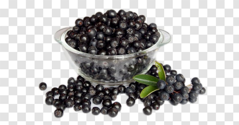 Aronia Melanocarpa Berry Sorbus Aucuparia Xd7 Sorbaronia Mitschurinii Pressure - Black Blueberry Transparent PNG