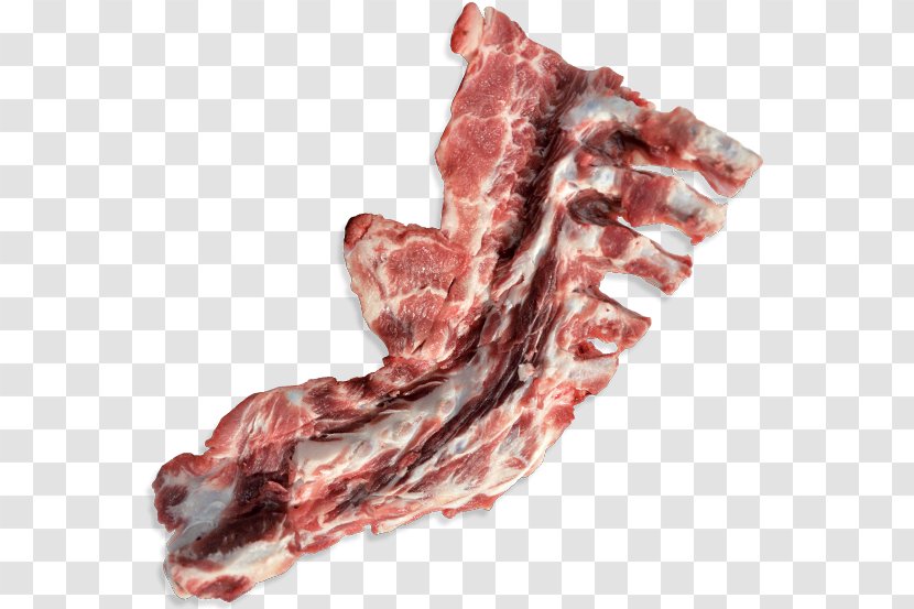 Capocollo Ham Bacon Pork Bone - Frame Transparent PNG