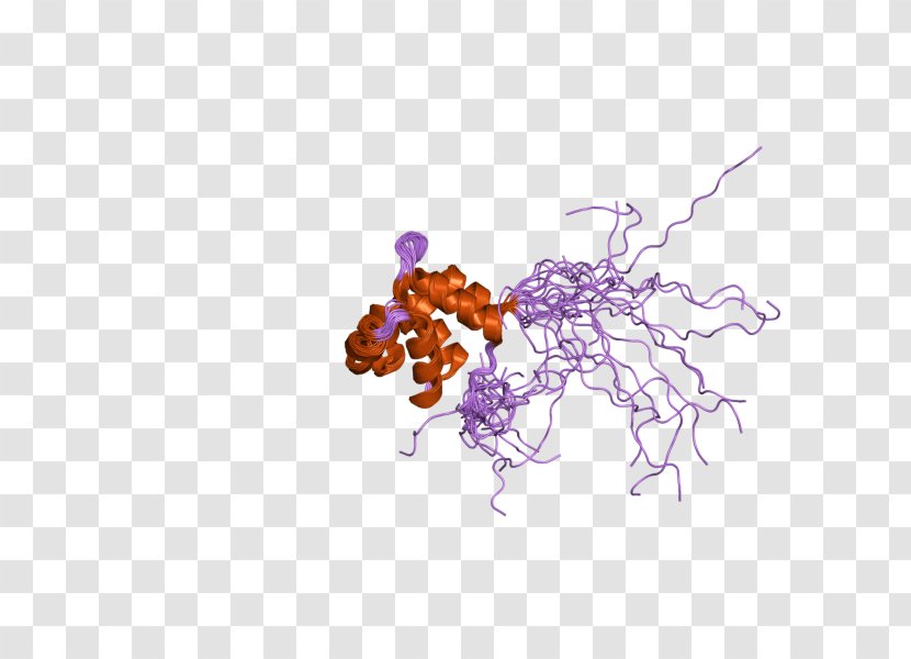 Wikimedia Foundation Common Variable Immunodeficiency Commons NFKB2 Image - Heart - Flower Transparent PNG