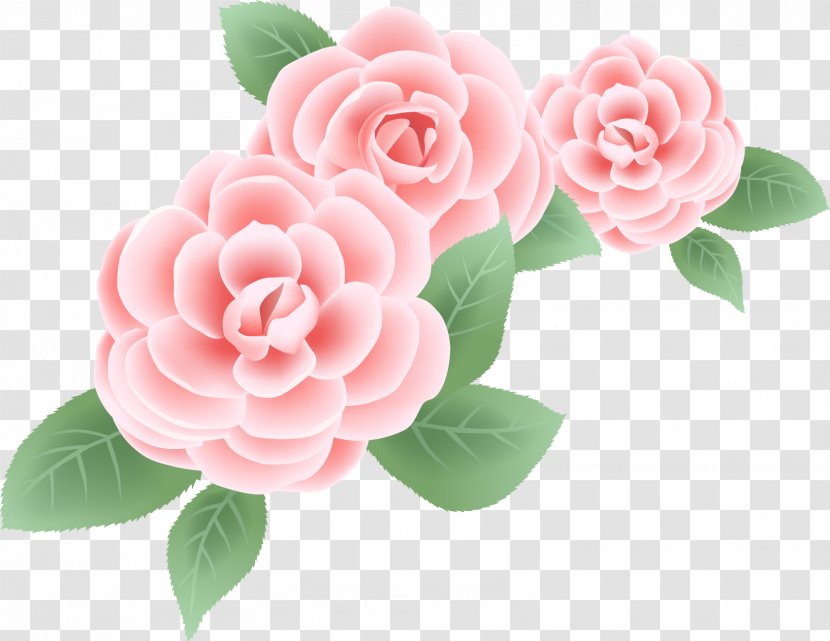 Peony Rose Flower Clip Art - Pink Flowers - Mary Transparent PNG