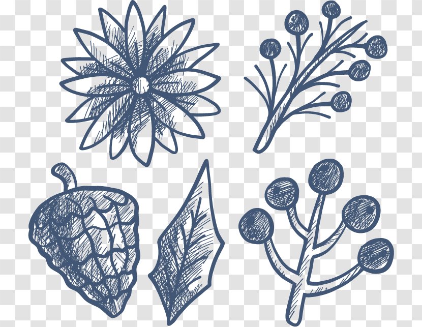 Drawing Winter Icon - Flower - Hand-painted Flowers In Transparent PNG
