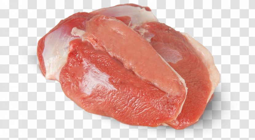 Duck Meat Ham Production De Canards - Watercolor Transparent PNG