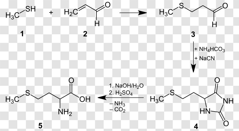 Methionine Cysteine Chemical Synthesis Proteinogenic Amino Acid Chemistry - Triangle - Area Transparent PNG