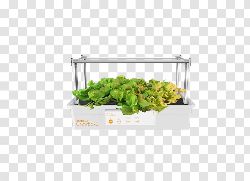 Herb Rectangle Glass Unbreakable - Hydroponic Grow Boxes For Vegetables Transparent PNG