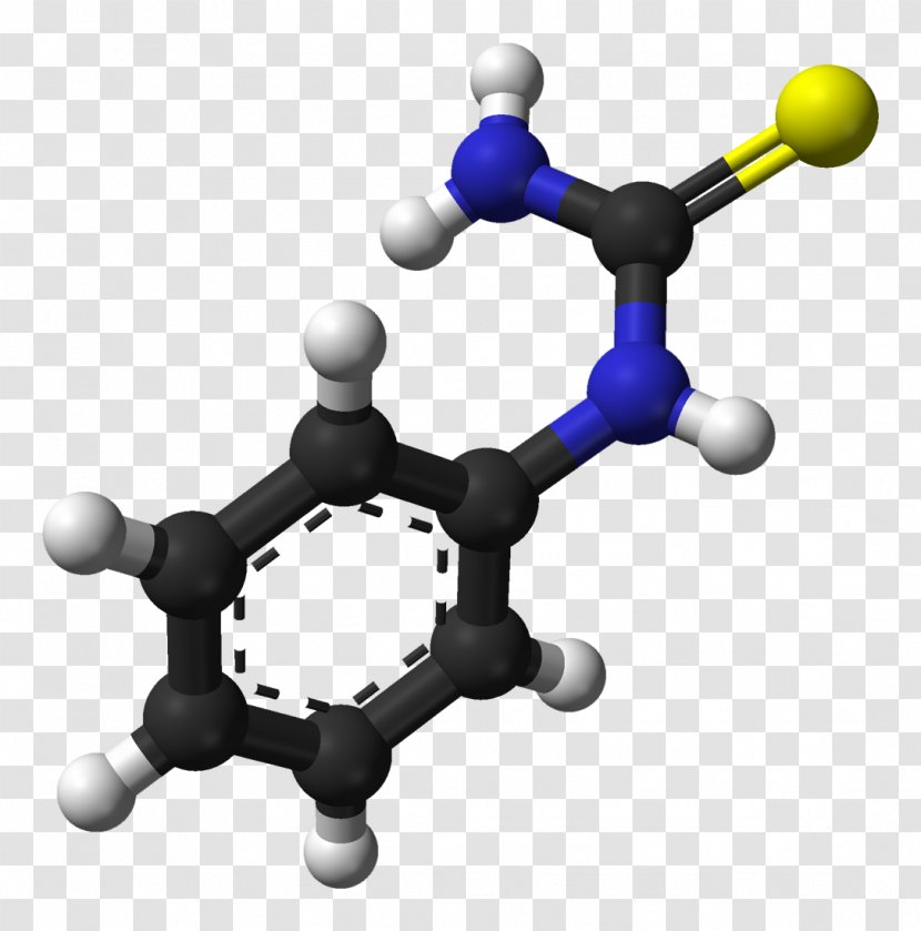 Phenylthiocarbamide PTC Tasting Genetics Bitterness Taste - Laboratory - Molecule Transparent PNG