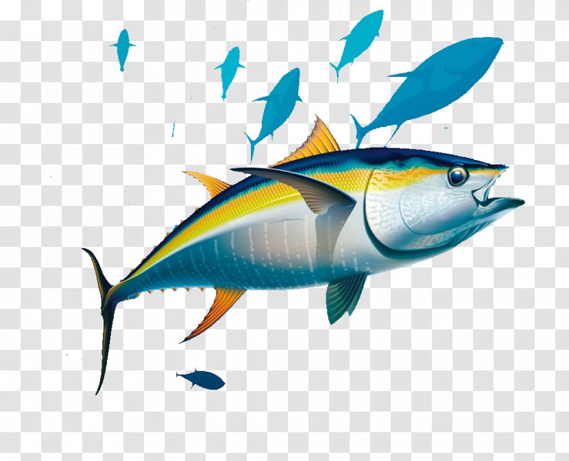 Yellowfin Tuna Albacore Illustration - Royaltyfree - Seabed Fish Transparent PNG