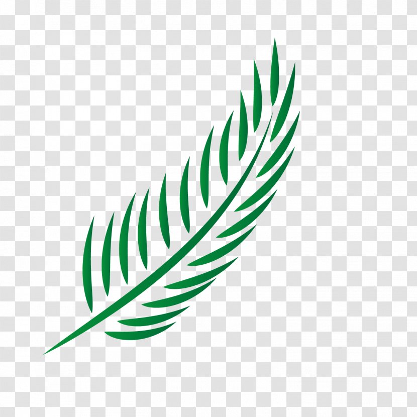 Euclidean Vector Icon - Christianity - Green Palm Transparent PNG