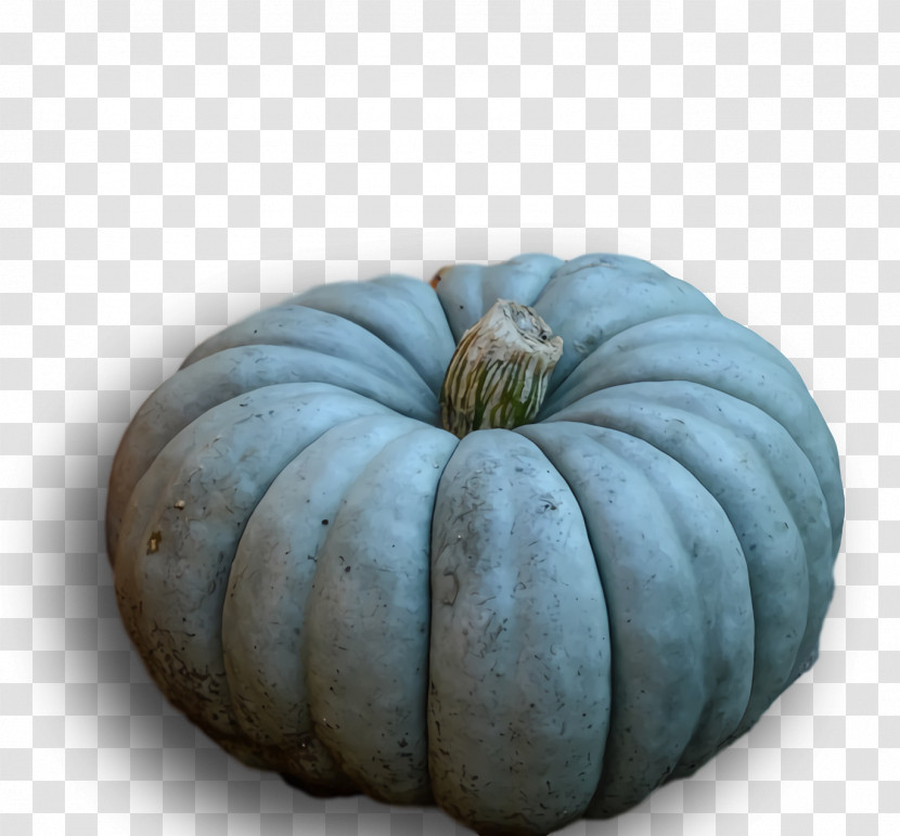 Squash Winter Squash Gourd Transparent PNG