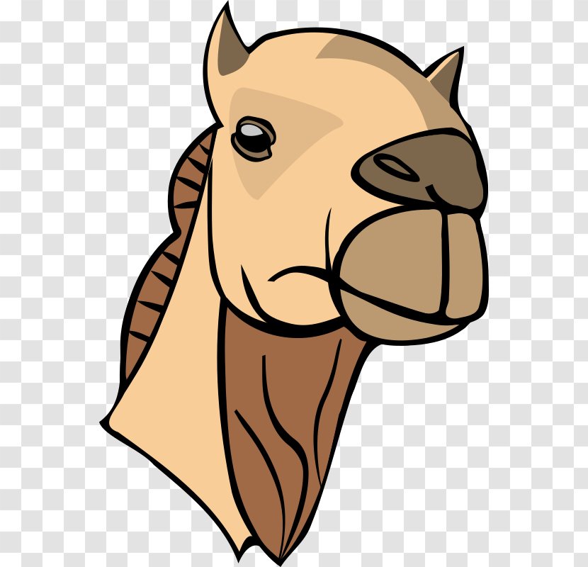 Dromedary Bactrian Camel Face Clip Art - Horse Tack Transparent PNG